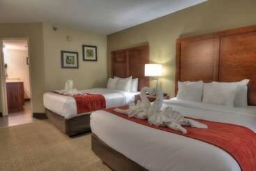 هتل Comfort Inn & Suites At Dollywood Lane