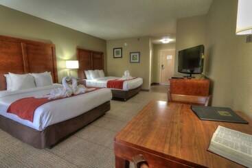 هتل Comfort Inn & Suites At Dollywood Lane