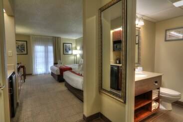 هتل Comfort Inn & Suites At Dollywood Lane