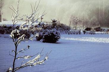 B&b Le Clos Du Lac