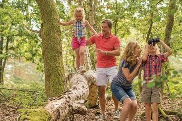 استراحتگاه Tilford Woods Lodge Retreat