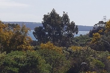 Gilligan S Kangaroo Island