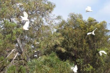 Gilligan S Kangaroo Island