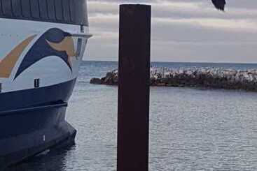 شقق خاصة سياحية Trading Places Kangaroo Island