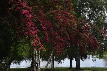 Ilmatsalu Motell