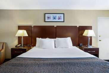هتل Hampton Inn Manchester Downtown