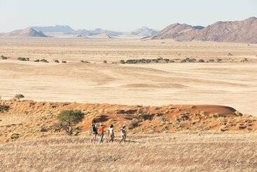 Desert Whisper