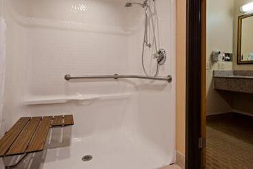 هتل Best Western Saluki Inn