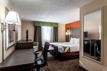Hotel Comfort Inn & Suites Nashville Downtown   Stadium
