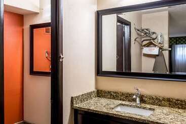 Hotel Comfort Inn & Suites Nashville Downtown   Stadium