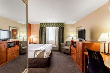Hotel Comfort Inn & Suites Nashville Downtown   Stadium