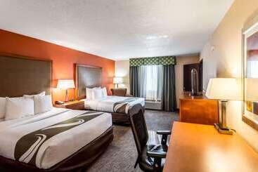 Hotel Comfort Inn & Suites Nashville Downtown   Stadium
