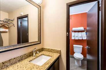 Hotel Comfort Inn & Suites Nashville Downtown   Stadium