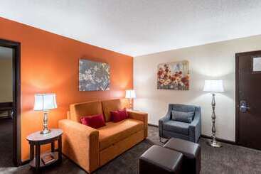 Hotel Comfort Inn & Suites Nashville Downtown   Stadium
