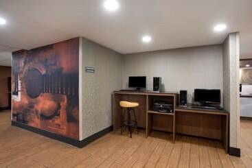 Hotel Comfort Inn & Suites Nashville Downtown   Stadium