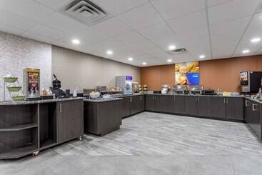 Hotel Comfort Inn & Suites Nashville Downtown   Stadium