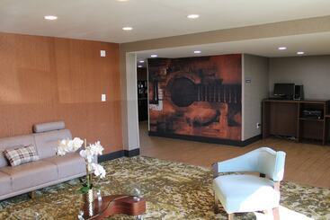 Hotel Comfort Inn & Suites Nashville Downtown   Stadium