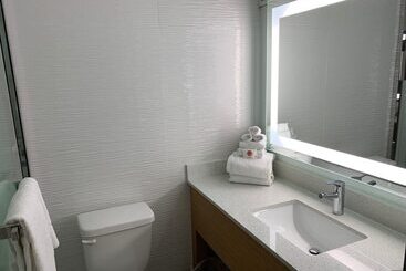 Hotel Comfort Inn & Suites Nashville Downtown   Stadium