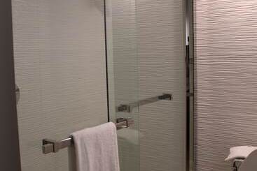 Hotel Comfort Inn & Suites Nashville Downtown   Stadium