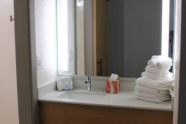 Hotel Comfort Inn & Suites Nashville Downtown   Stadium