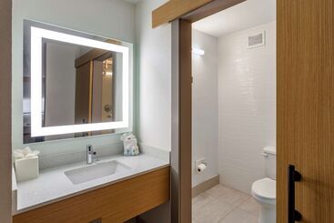 Hotel Comfort Inn & Suites Nashville Downtown   Stadium