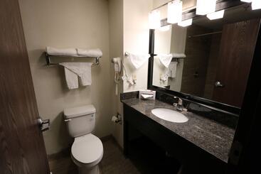 هتل Ramada By Wyndham Bolingbrook