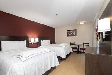 هتل Red Roof Inn Plus+ Austin South