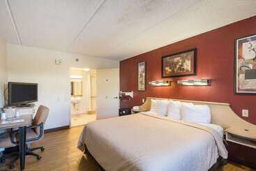 בית מלון כפרי Rodeway Inn Tampa Near Busch Gardensusf