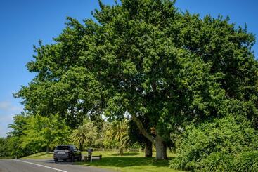 تختخواب و صبحانه Blackwood House