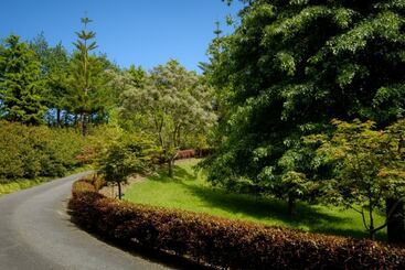 تختخواب و صبحانه Blackwood House