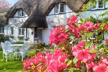 تختخواب و صبحانه Thatched Eaves