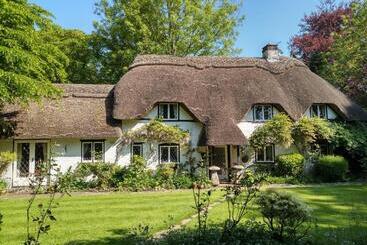 تختخواب و صبحانه Thatched Eaves
