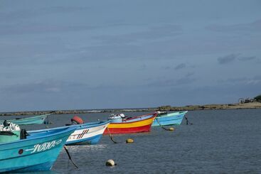 هتل Villas Cabuya Beach & Forest