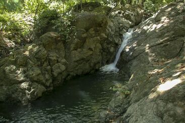 هتل Villas Cabuya Beach & Forest