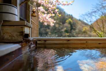 ریوکان Natsuse Onsen Miyakowasure