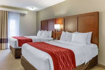 酒店 Comfort Inn Lancaster At Rockvale