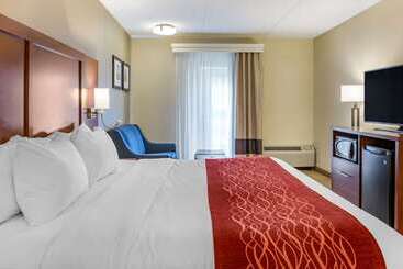 酒店 Comfort Inn Lancaster At Rockvale