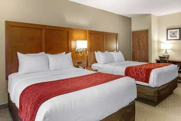 酒店 Comfort Inn Lancaster At Rockvale