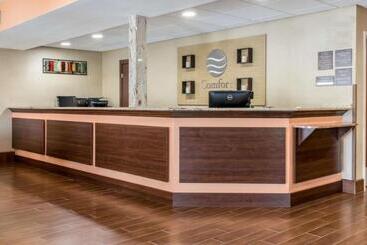 酒店 Comfort Inn Lancaster At Rockvale