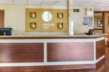 酒店 Comfort Inn Lancaster At Rockvale