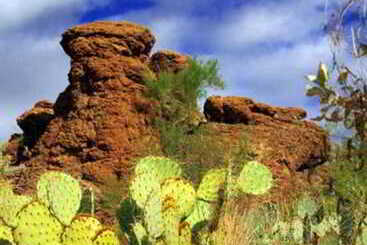اقامتگاه Sonesta Es Suites Tempe