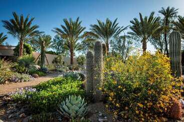 The Scottsdale Resort & Spa, Curio Collection By Hilton