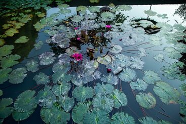 هتل Ninh Binh Valle Montana Homestay