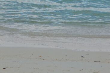 Treasures Of Andros