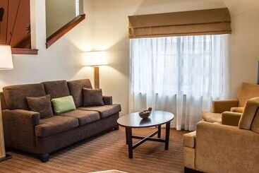 هتل Sleep Inn Arlington Near Six Flags