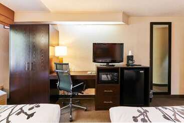 Bob Hotels Tallahassee   Boutique On Budget