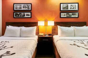 Bob Hotels Tallahassee   Boutique On Budget
