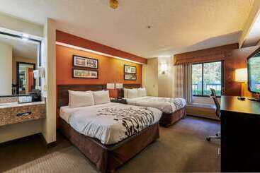 Bob Hotels Tallahassee   Boutique On Budget