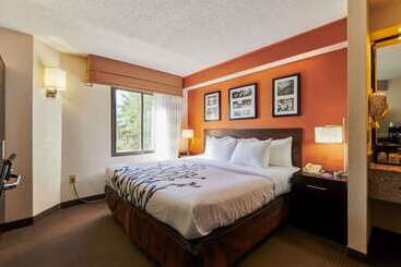 Bob Hotels Tallahassee   Boutique On Budget