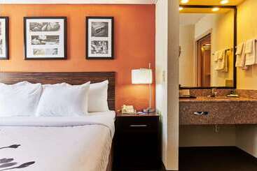 Bob Hotels Tallahassee   Boutique On Budget